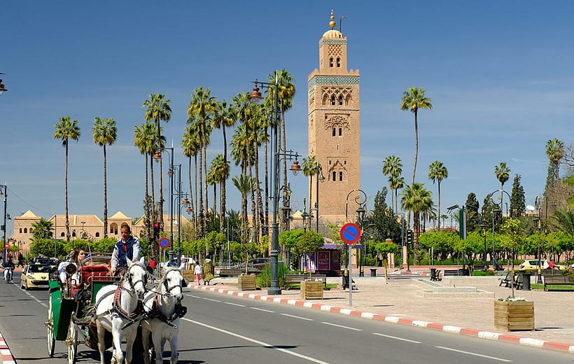 Calèches et Dromadaires : Une Odyssée Marrakchie